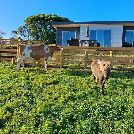 Country Comfort - Only 10 Minutes From Hamilton Cbd Eksteriør billede