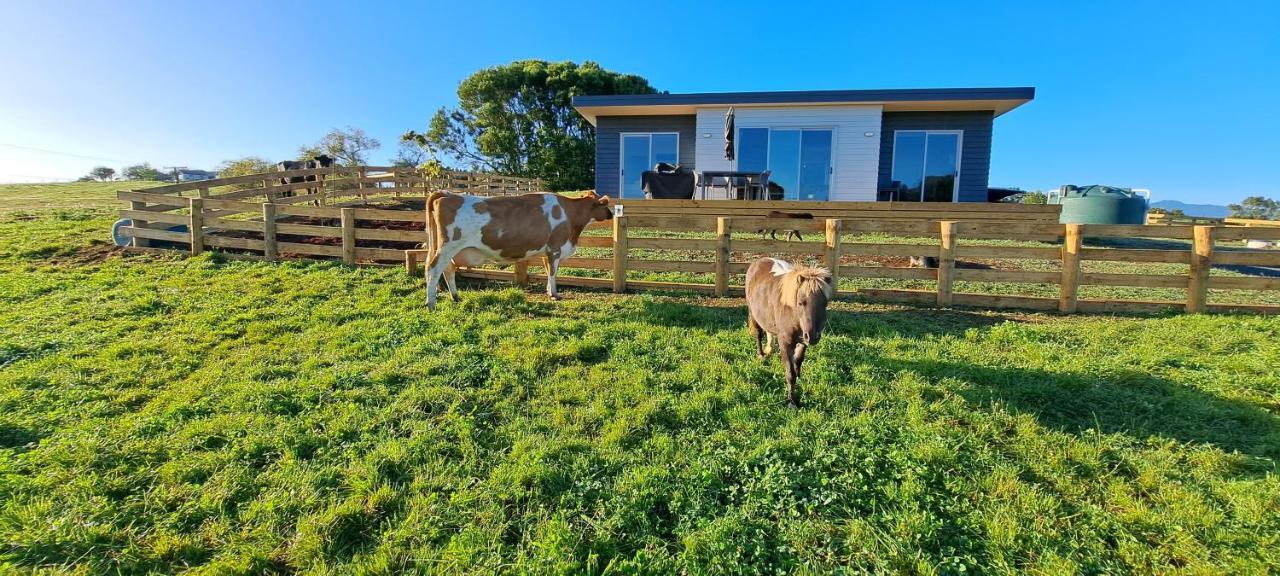 Country Comfort - Only 10 Minutes From Hamilton Cbd Eksteriør billede
