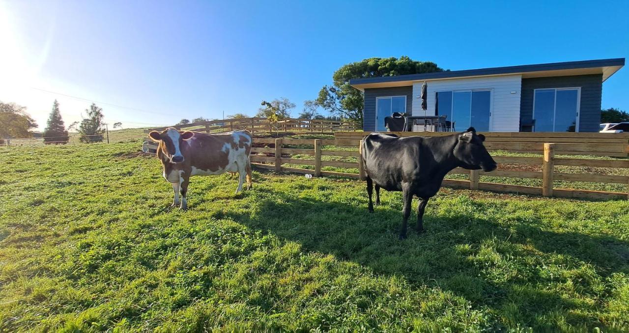 Country Comfort - Only 10 Minutes From Hamilton Cbd Eksteriør billede