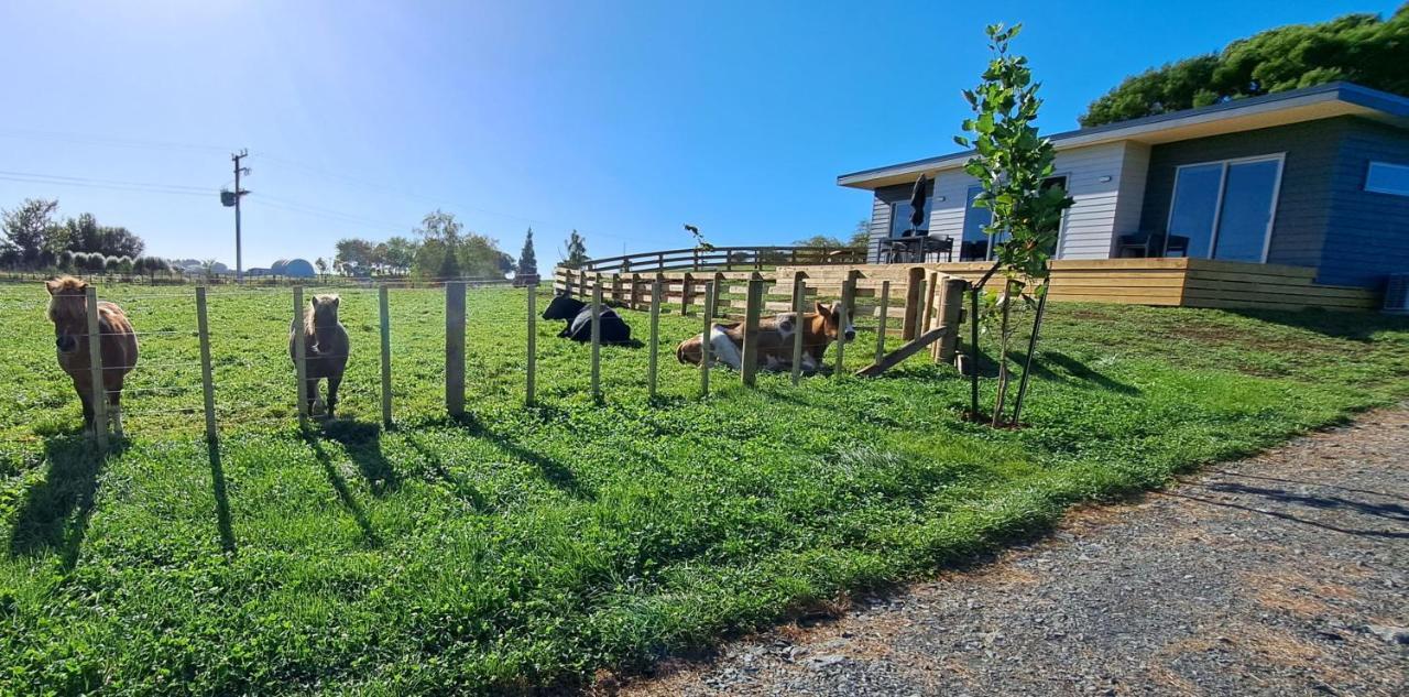 Country Comfort - Only 10 Minutes From Hamilton Cbd Eksteriør billede
