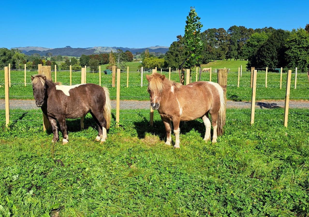 Country Comfort - Only 10 Minutes From Hamilton Cbd Eksteriør billede