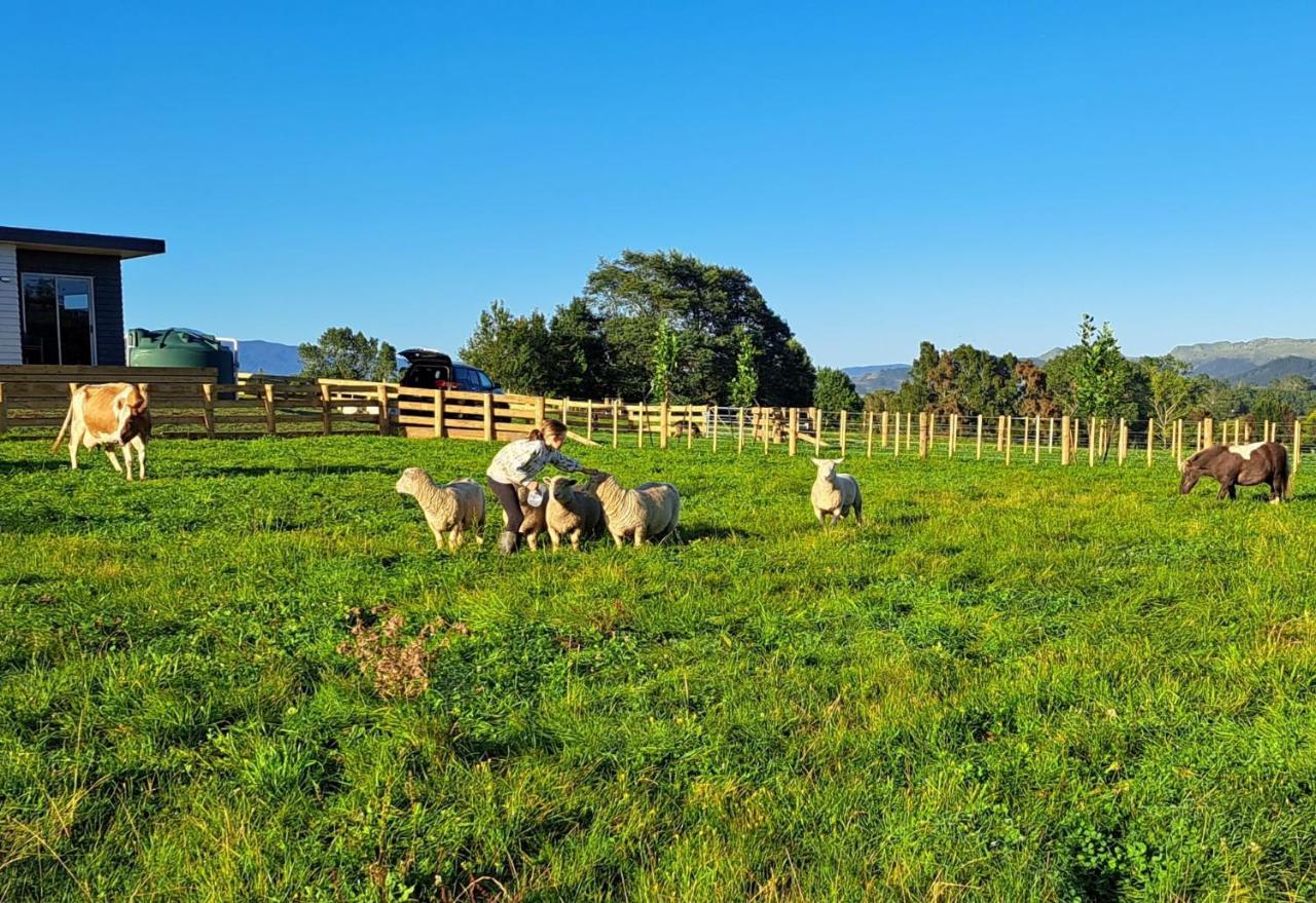 Country Comfort - Only 10 Minutes From Hamilton Cbd Eksteriør billede
