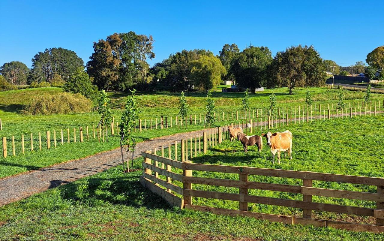 Country Comfort - Only 10 Minutes From Hamilton Cbd Eksteriør billede