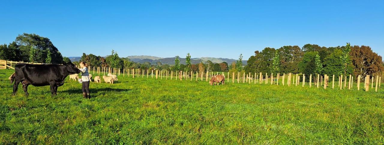Country Comfort - Only 10 Minutes From Hamilton Cbd Eksteriør billede