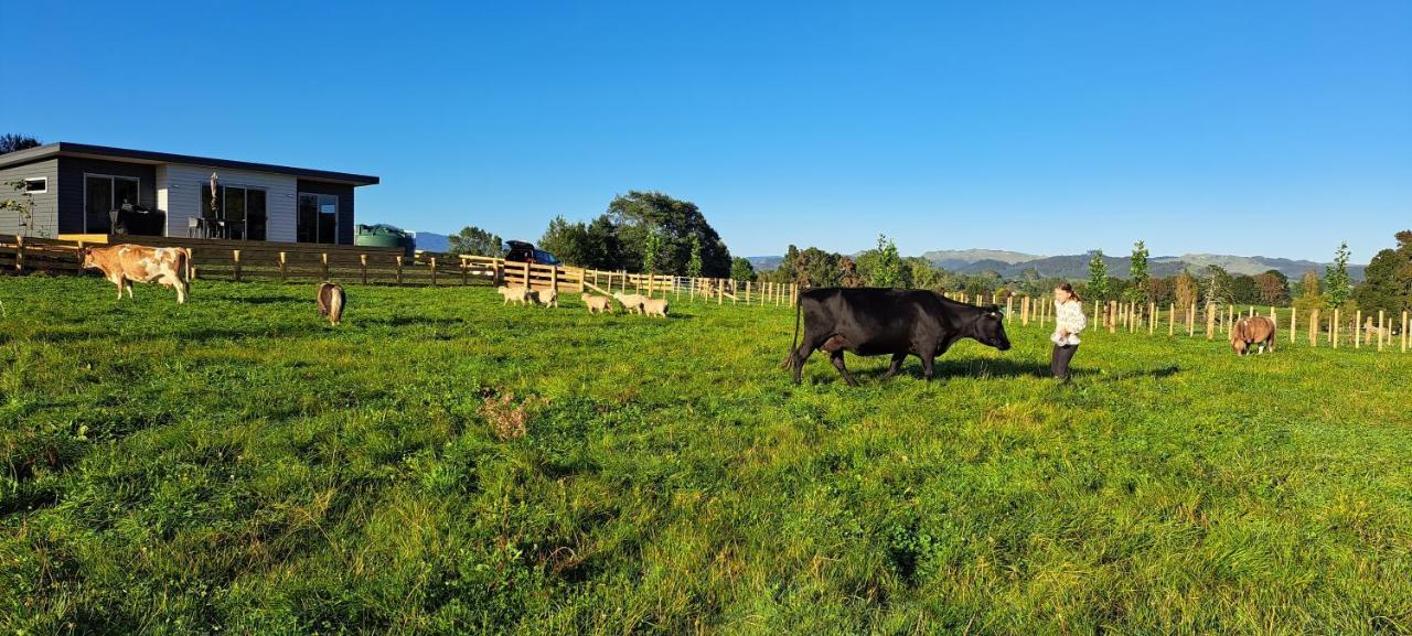 Country Comfort - Only 10 Minutes From Hamilton Cbd Eksteriør billede